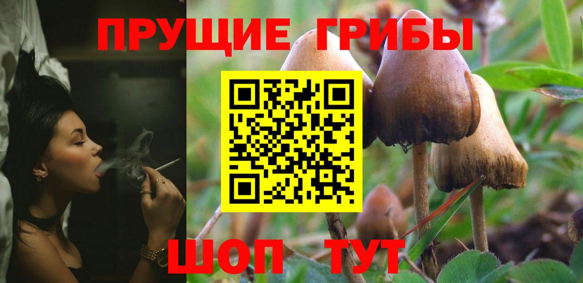 цены   Псилоцибиновые грибы ЛСД  Вход с VPN  Дубна  Галлюциногенные грибы Cubensis 