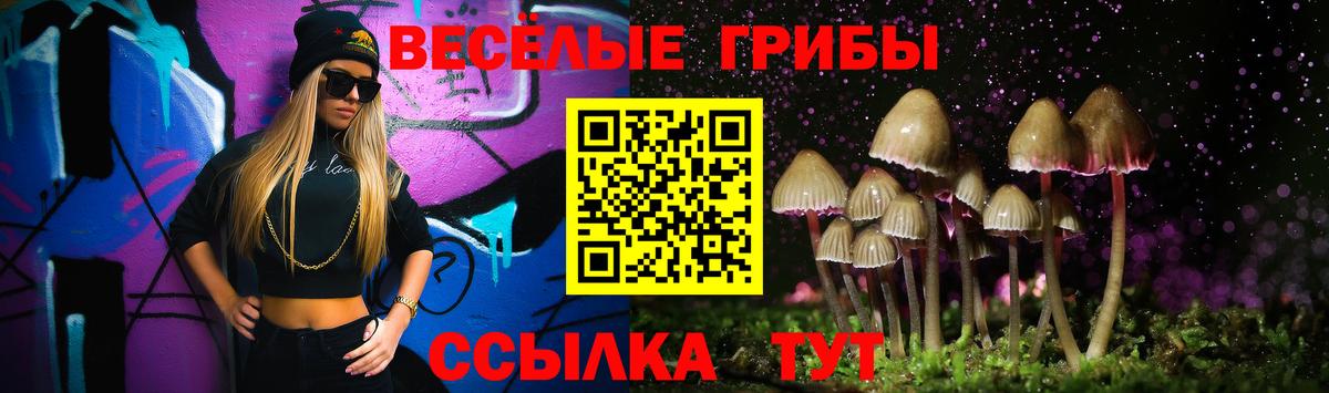 Псилоцибиновые грибы мухоморы Дубна